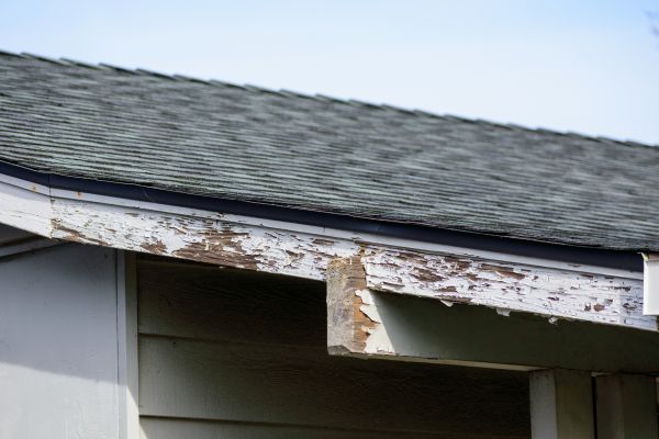 Kenosha Wood Rot Repair