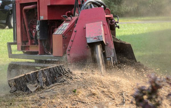 Kenosha Tree Removal