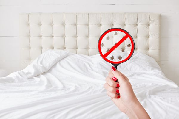 Kenosha Pest Control Service