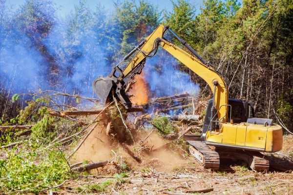 Kenosha Land Clearing