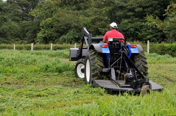 Kenosha Bush Hogging